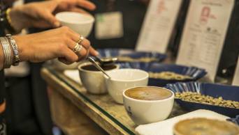 Caf&eacute;s especiales del Per&uacute; alcanzan podio en concurso internacional