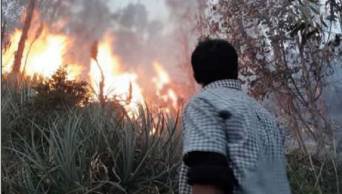 Incendios forestales en Pasco, Jun&iacute;n y Cusco da&ntilde;an 30 hect&aacute;reas de cobertura natural