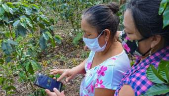 D�A DEL CAF� PERUANO: Conoce la aplicaci&oacute;n que impulsa inclusi&oacute;n financiera de productores