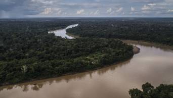 MINAM: El enfoque ind&iacute;gena es clave en el monitoreo de los bosques